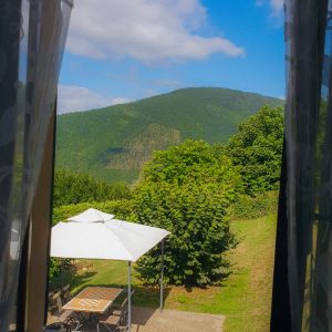 Blick vom Haus aus
