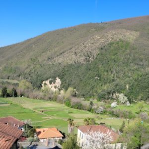 Fivizzano