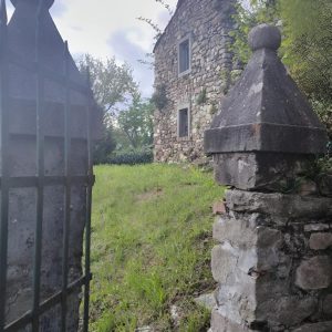Blick auf den Garten